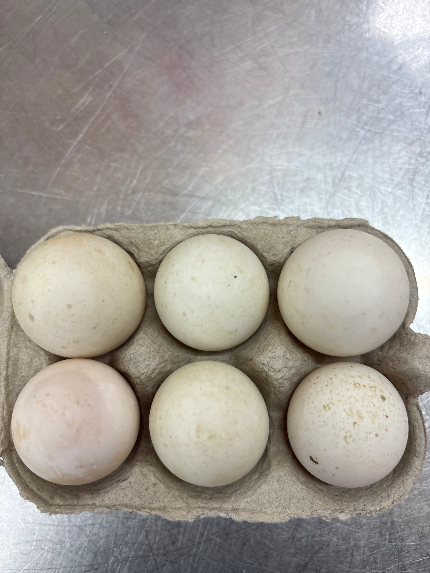 6 Duck eggs