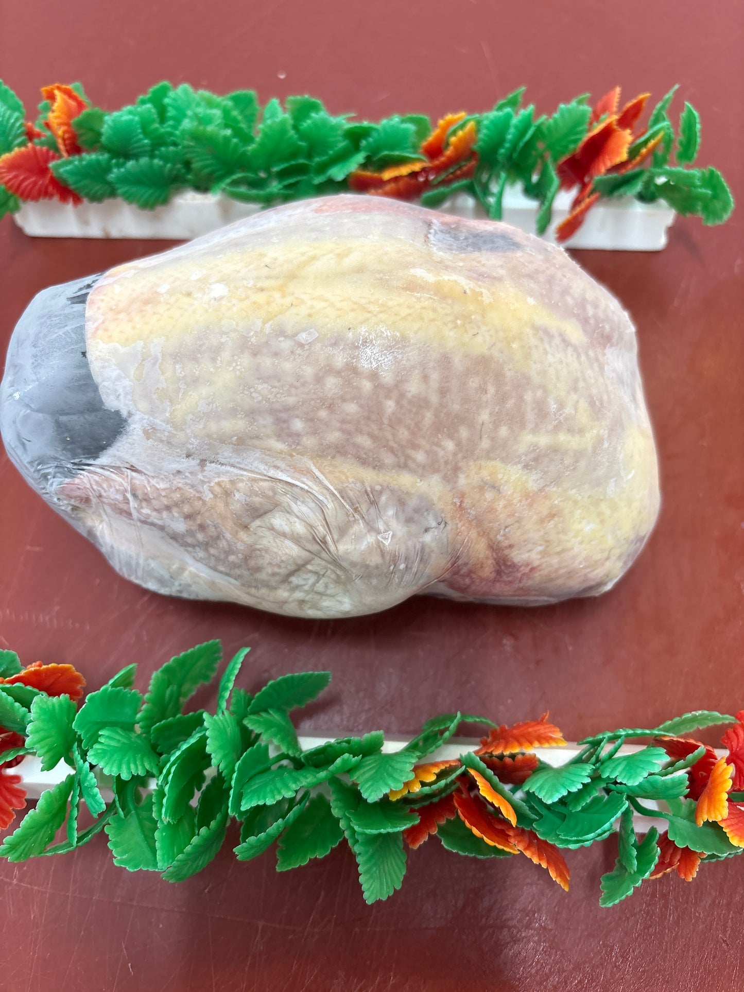 Pheasant