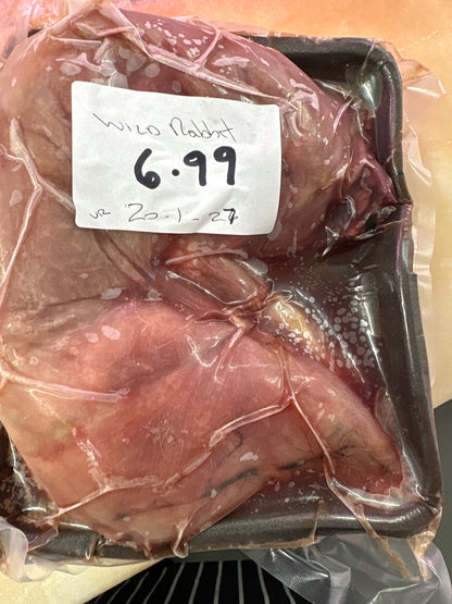 Wild Rabbit