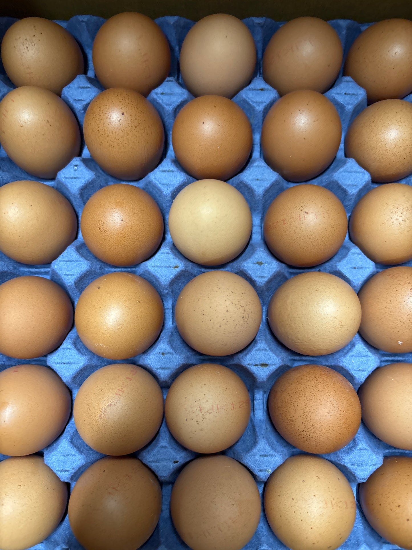 Tray of Eggs (30)