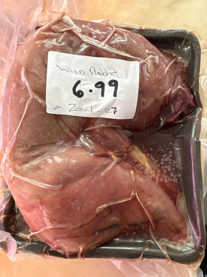 Wild Rabbit