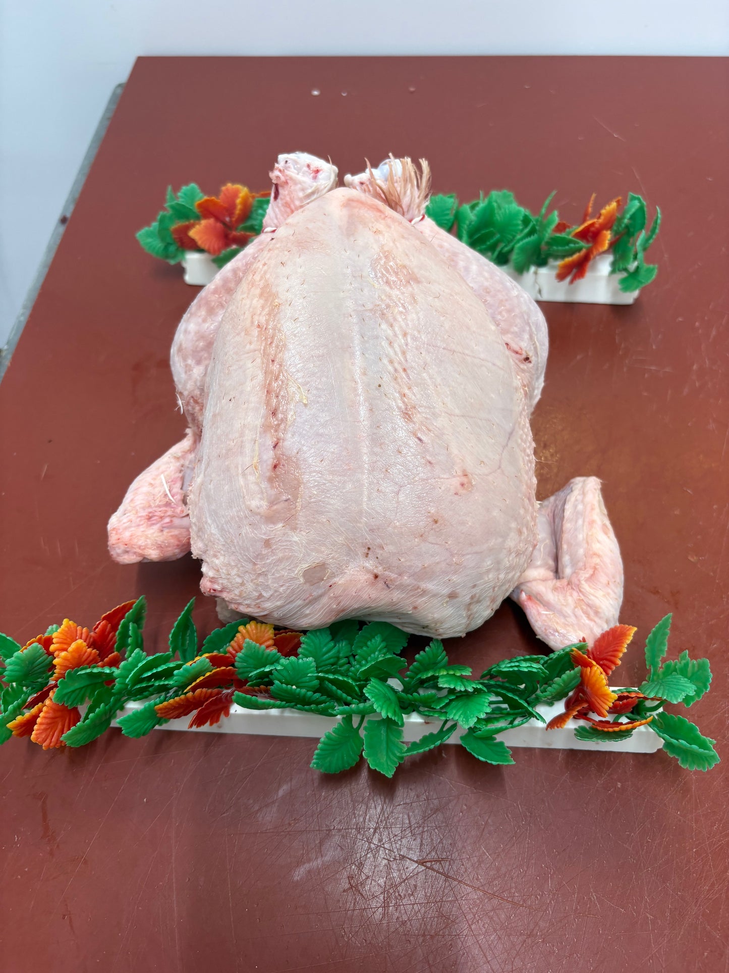 Large Chicken